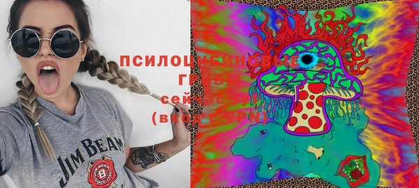 МДМА Алексеевка