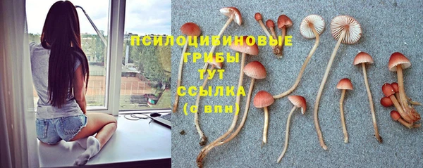 прущие крисы Абдулино