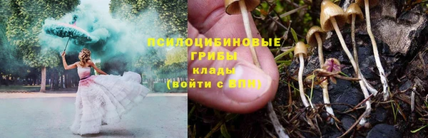 наркотики Алексин
