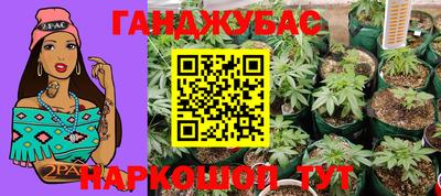 Альфа ПВП Пушкино