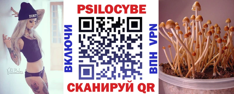 купить наркотики сайты  Тольятти  Псилоцибиновые грибы мухоморы 