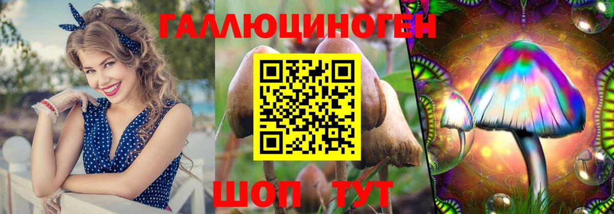 Псилоцибиновые грибы мухоморы  хочу   Тольятти  Вход с VPN 